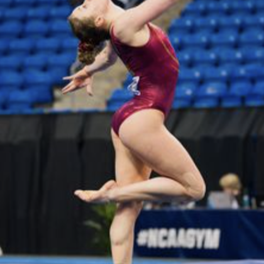 6-Session Mentorship Program (60 minutes per session)